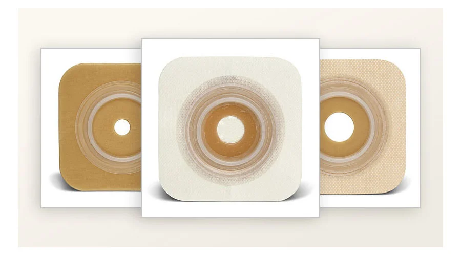 un grupo de platos con comida