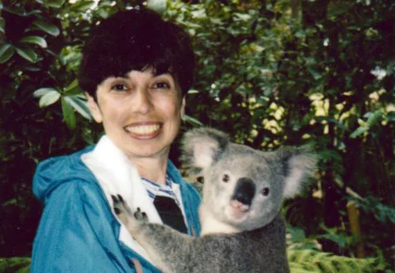 a person holding a koala